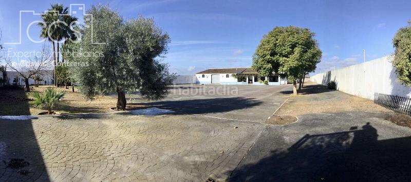 Foto e60e44f5-5454-4304-a4bd-494246114a93. Mas dans Almonte Almonte