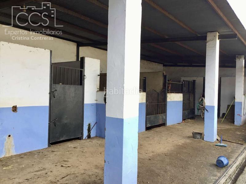 Foto e9d303a4-80a0-4f74-b7a2-bf183848654c. Mas dans Almonte Almonte