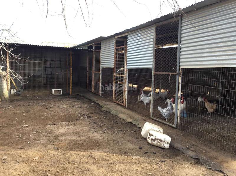 Foto ea0f5390-dcda-4c04-881d-9bb8c0cfb01a. Mas dans Almonte Almonte