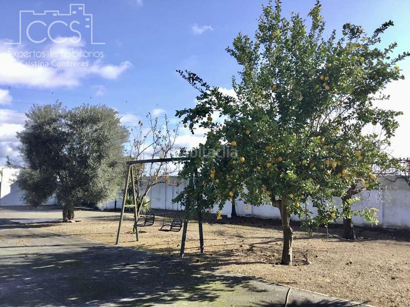 Foto ed0478e6-2d62-44b2-b2e0-74691b965811. Mas dans Almonte Almonte