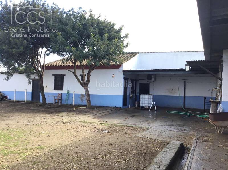 Foto ee218df2-3091-48fd-b1f1-096f6b075106. Mas dans Almonte Almonte