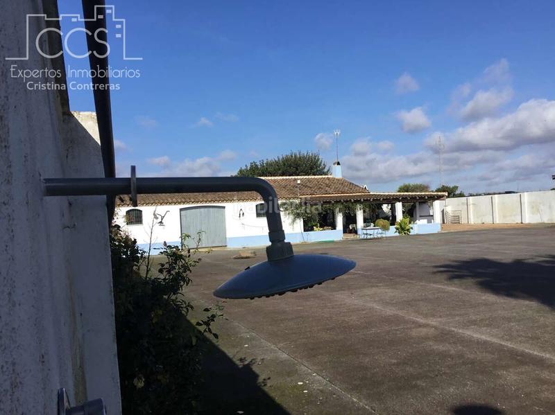 Foto f1e821bc-5805-458f-9bfa-9cb29121950c. Mas dans Almonte Almonte