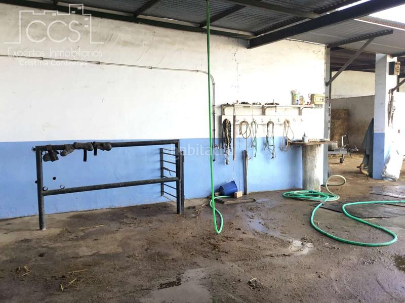 Foto f267975c-d4c1-44f3-9959-2824b4490896. Mas dans Almonte Almonte