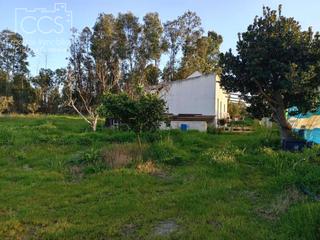 Masia a Almonte. Venta de finca de 7.283m2 de terreno en propiedad,   y 2.400m2 e