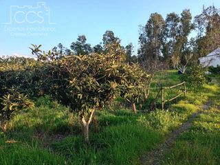 Bauernhof in Almonte. Venta de finca de 7.283m2 de terreno en propiedad,   y 2.400m2 e