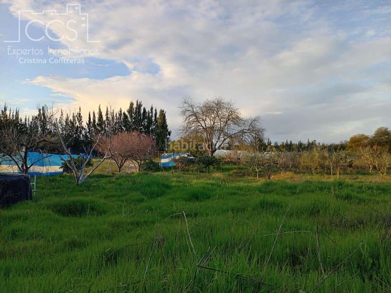 Foto 99c00627-2443-46c7-a4f5-9eaf352357a0. Masia a Almonte Almonte