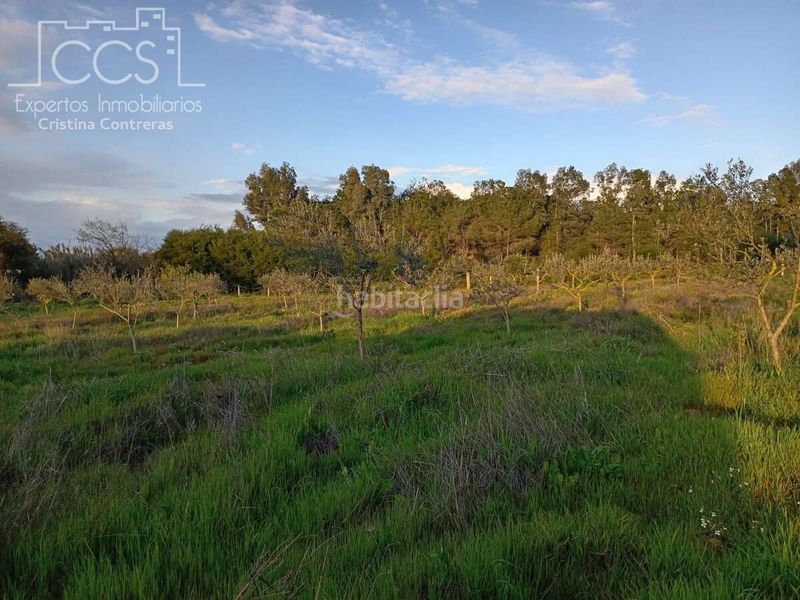 Foto e376ec97-3bf7-401a-adb0-ab3b0aa7ef75. Masia a Almonte Almonte