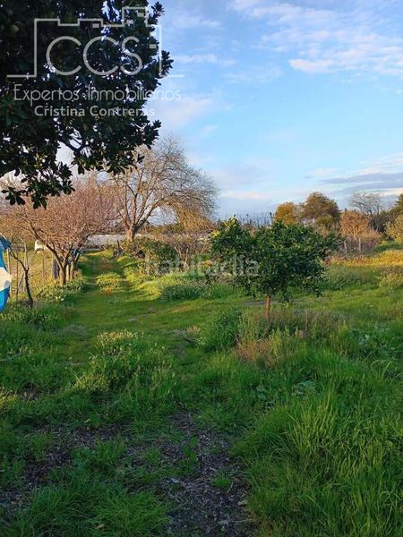 Foto fa70fa92-d167-4561-a4a8-050ae8db176b. Masia a Almonte Almonte