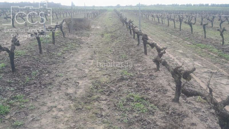 Foto 114b6338-9800-454b-823d-c295f5720960. Finca rústica a Almonte Almonte