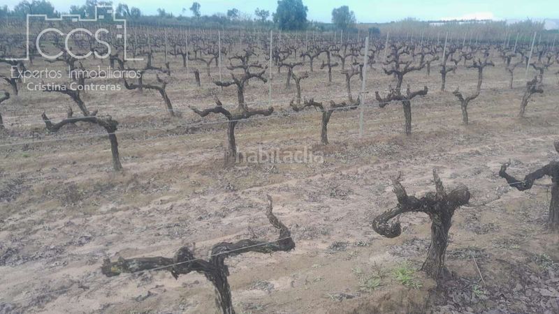 Foto 3cf6040f-2d12-48c7-8992-46a289578eee. Finca rústica a Almonte Almonte