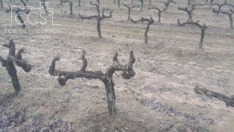 Foto 5fc4323c-89dd-4294-8d35-4e45ea9f513d. Finca rústica a Almonte Almonte