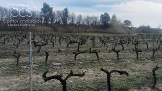 Finca rústica a Almonte. Venta de finca en propiedad  de 19.123m2 de terreno, en almonte