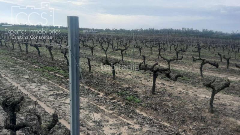 Foto 05e7b803-c146-4e21-9af1-f5029c341366. Landgut in Almonte Almonte