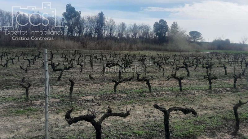 Foto 41d92b80-fae2-4b82-87b8-e8dd707f8012. Finca rústica a Almonte Almonte