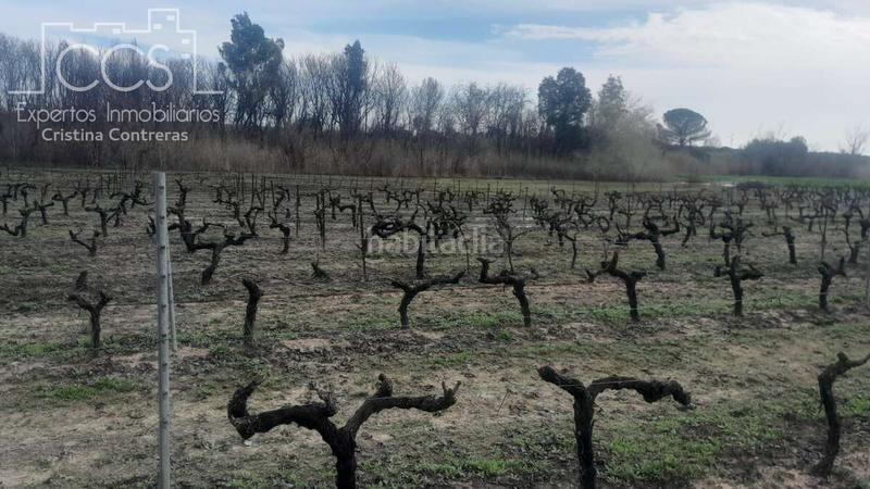 Foto 7d010ae3-7857-4422-8864-edb582037597. Landgut in Almonte Almonte