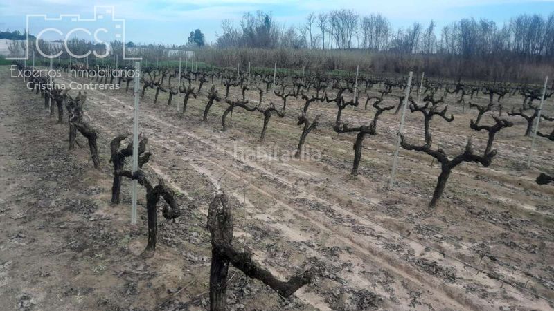 Foto 8be088f1-da1e-4c6a-a4c1-2ee8d05a02d0. Finca rústica a Almonte Almonte