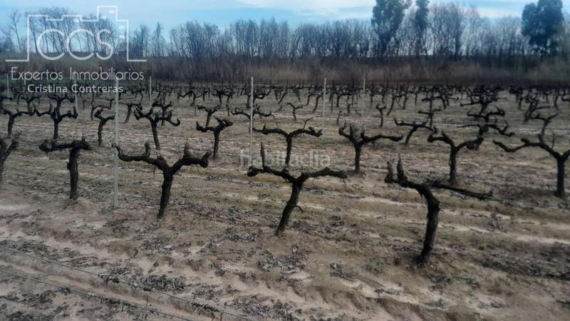 Foto 8f4991c9-eb43-4348-bee9-47b18b09f95c. Landgut in Almonte Almonte