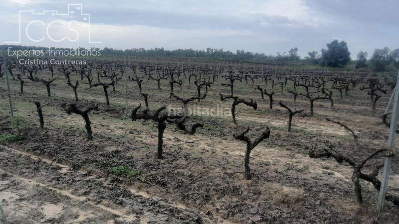 Foto a03e3328-444a-4d3c-b01c-7fcef1031749. Landgut in Almonte Almonte