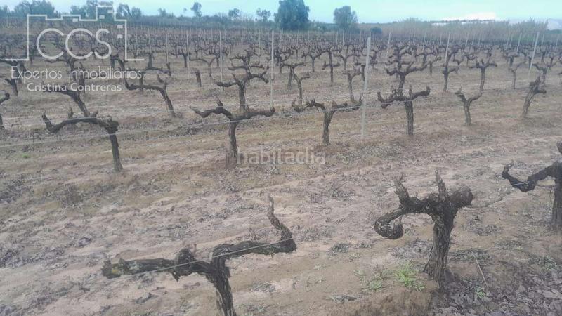 Foto a41b879c-25bc-4f27-b414-98a15410c997. Landgut in Almonte Almonte