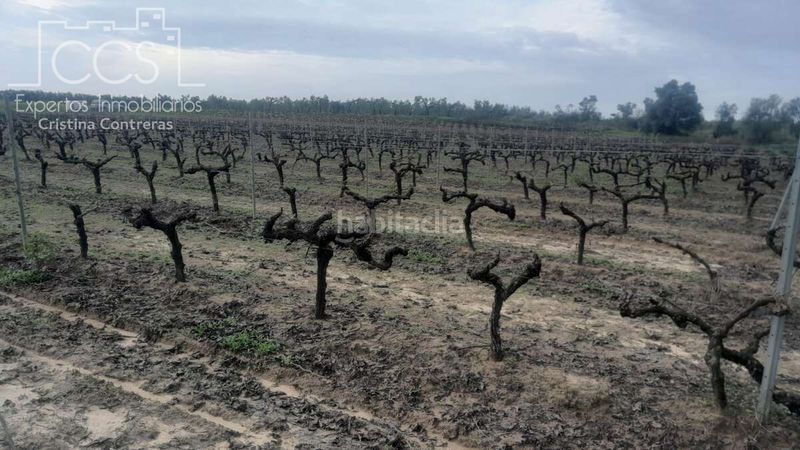 Foto c559066d-87b6-4ad2-99c8-a0b6a00227cd. Finca rústica a Almonte Almonte