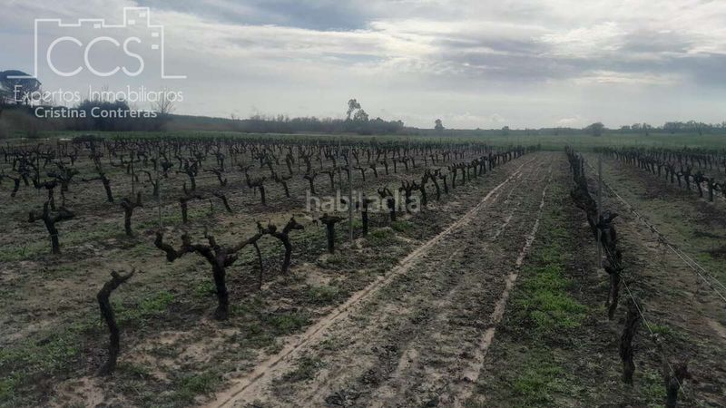 Foto ccdb7f8e-fba6-4ad8-9768-af2cc48a438f. Finca rústica a Almonte Almonte