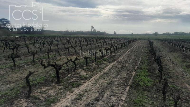 Foto d6e87bfe-afce-45c4-869b-7639c3e9be2f. Landgut in Almonte Almonte