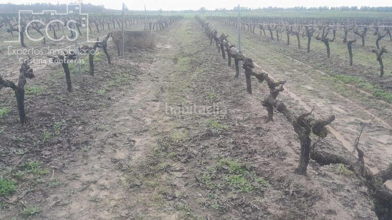 Foto de0d8dd8-d2a5-484d-a090-2d1faee5fb19. Landgut in Almonte Almonte