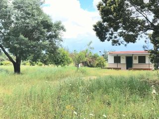 Country house in Almonte. Finca en concesión de 6.500 m con casa de aperos y pozo a 5 km d