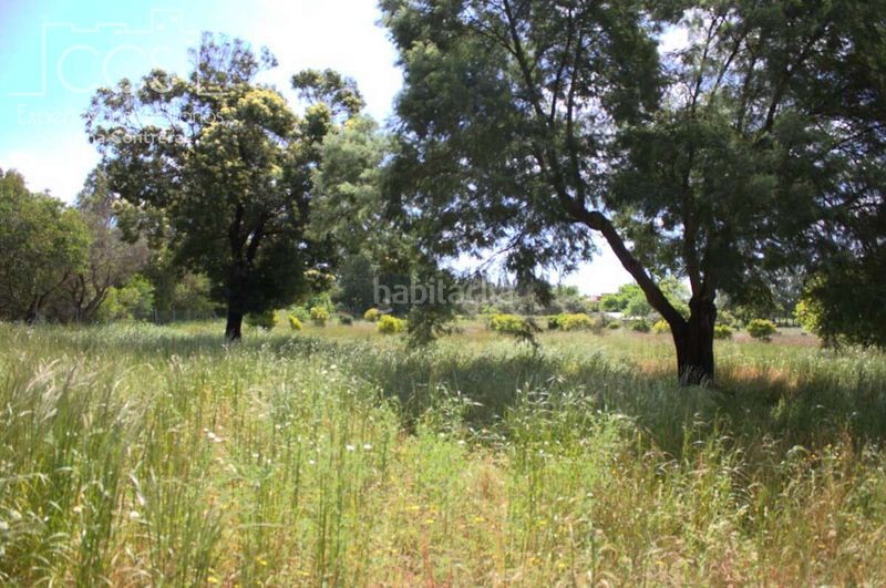 Foto f089c8b1-6ccd-4598-97eb-5289f1f37ca2. Masia a Almonte Almonte