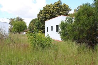 Masia a Almonte. Venta de finca en concesión  de 6.500m2 y casa de aperos de 60m2