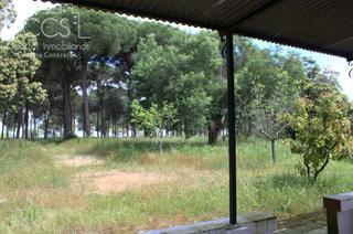 Mas à Almonte. Venta de finca en concesión  de 6.500m2 y casa de aperos de 60m2