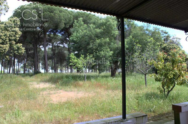 Foto 05582a33-9fcd-434a-85ef-7b30d3b49438. Masia a Almonte Almonte