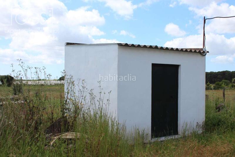 Foto 0af485d4-0ffd-45df-83eb-4a0232af2966. Masia a Almonte Almonte