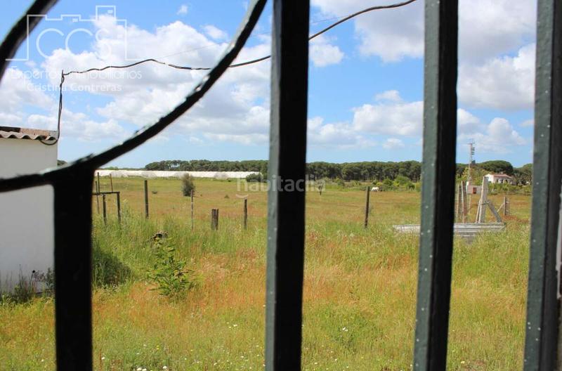 Foto 394f0a35-d009-4b2c-84c9-85b08dc6238c. Masia a Almonte Almonte