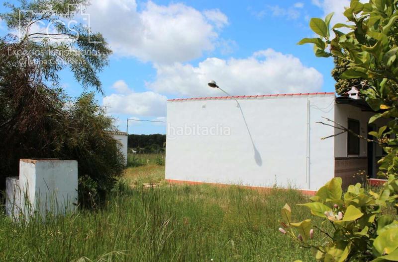 Foto 49aa97a1-c55d-4f4f-beeb-de40706fc07c. Masia a Almonte Almonte