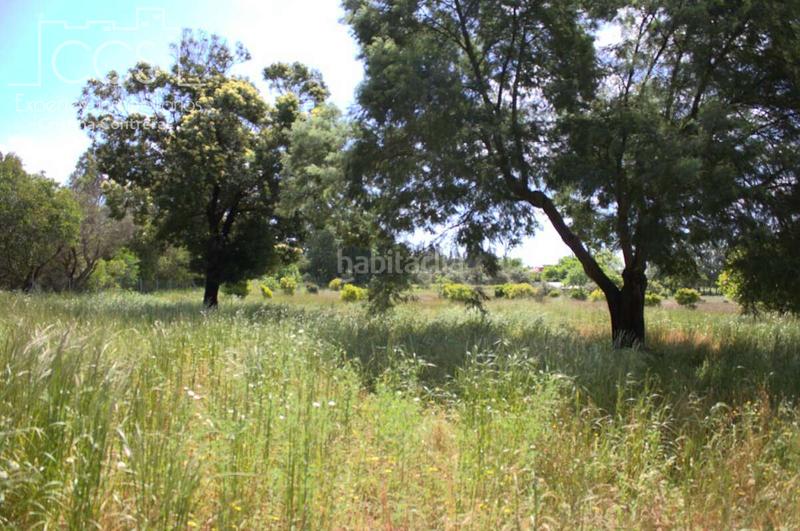 Foto 64263522-b475-4f59-8638-61cc05af3e49. Masia a Almonte Almonte