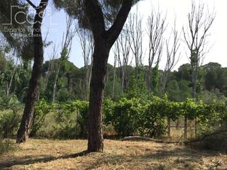 Mas à Hinojos. Venta de finca de 3.180 m2 de terreno con una  vivienda de 133,7