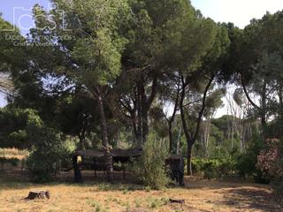 Masia a Hinojos. Venta de finca de 3.180 m2 de terreno con una  vivienda de 133,7