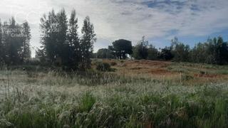 Finca rústica a Almonte. Venta de finca en propiedad de 59.213 m2 de terreno en almonte,