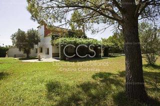 Masia a Vista Azul - Consolación. Venta de cortijo con edificación de 1.300m2 construidos y 10.000