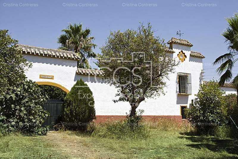 Foto 060c7bef-0949-4570-9f6e-a31ba2f81c11. Country house with pool in Vista Azul - Consolación Dos Hermanas