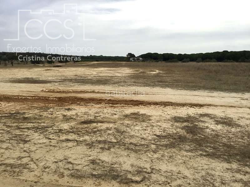 Foto 0eab4061-416f-458d-bb5c-efbe72b7fc8e. Masia a Almonte Almonte