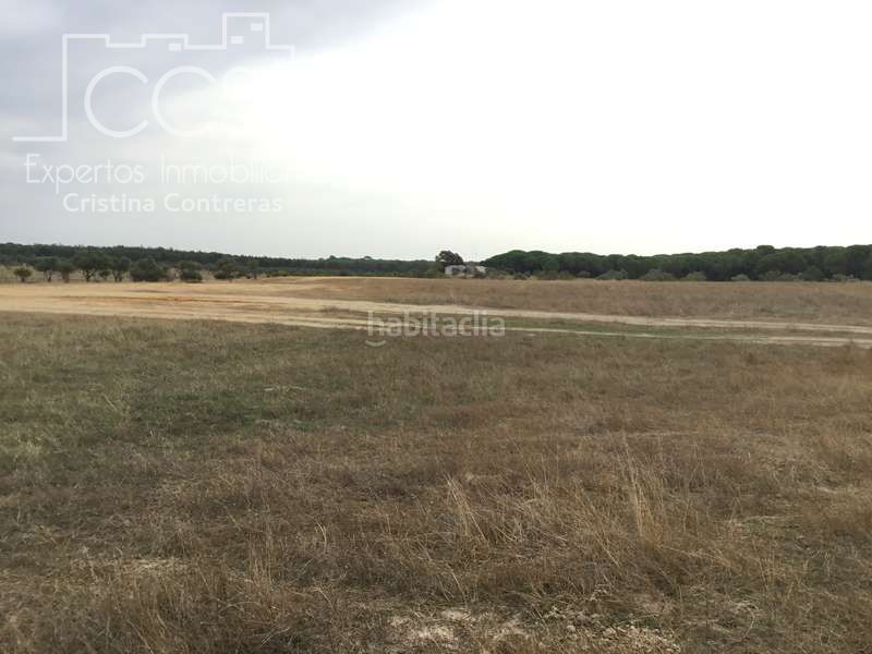 Foto 13e8b636-0e54-445a-b38e-f34612940622. Masia a Almonte Almonte