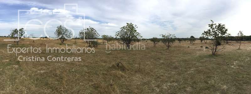 Foto 31d851cd-04ca-4e55-8d9c-2e35e159312f. Masia a Almonte Almonte