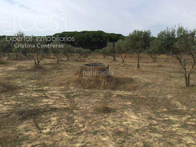Foto 37fc6588-f179-4932-afce-b6c6264e01e0. Masia a Almonte Almonte