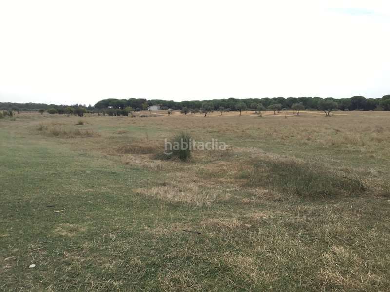 Foto 4335dc96-9a25-43da-988c-d798ab3cd03d. Masia a Almonte Almonte