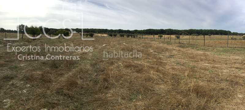 Foto 89871997-cde0-4591-aef6-bed879d779f5. Masia a Almonte Almonte