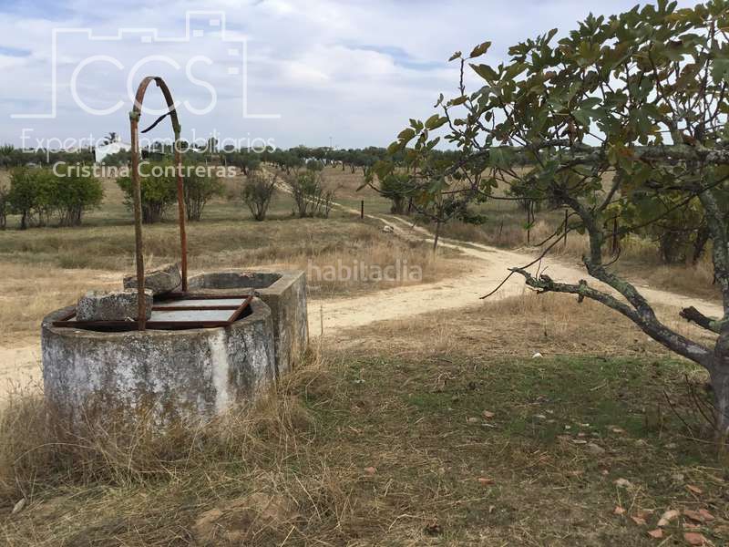 Foto a5fc113c-ea6d-4cb5-8357-5ce08b93977a. Masia a Almonte Almonte