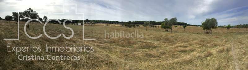 Foto aeba2bc5-a484-4fe2-934e-8997f0d64729. Masia a Almonte Almonte