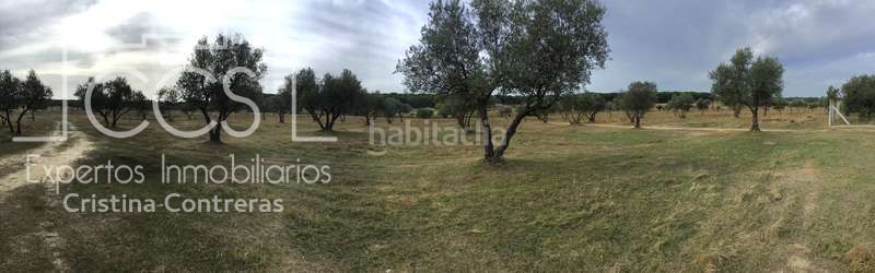 Foto c1fcb5db-21cc-40e2-a40d-22d0defcbc98. Masia a Almonte Almonte